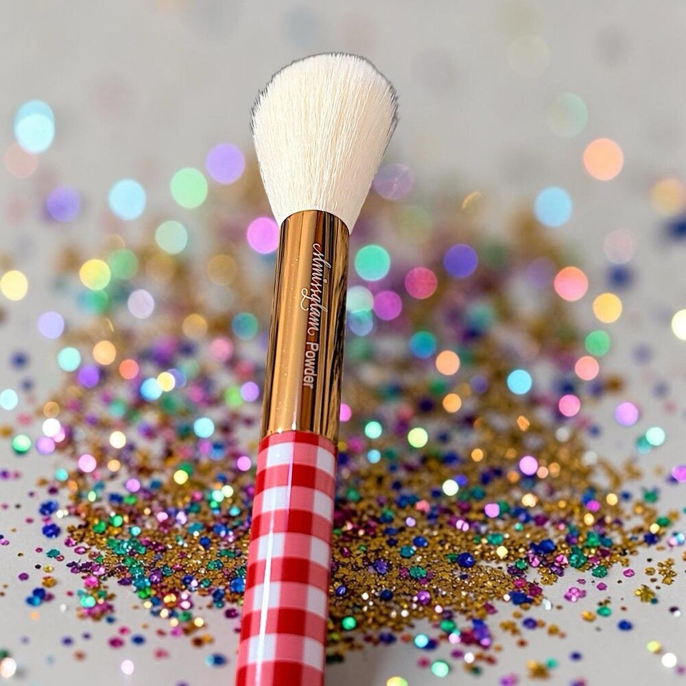 SLMISSGLAM  Gingham Face Brush Brand New MSRP $28